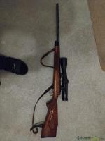 Remington 700  .22-250 Remington