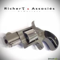 NAA Model 22S .22Short