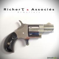 NAA Model 22S .22Short