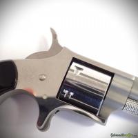 NAA Model 22S .22Short