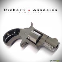 NAA Model 22S .22Short