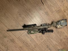 Remington 700 .308 Winchester