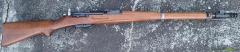 Karabiner 31