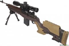 Springfield M1A .308 Winchester