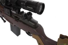 Springfield M1A .308 Winchester