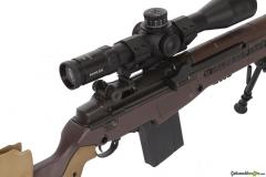 Springfield M1A .308 Winchester