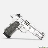 BUL 1911 Government .45 ACP