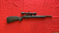 Ruger 10/22