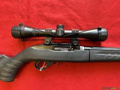 Ruger 10/22