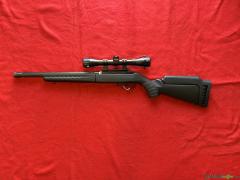 Ruger 10/22