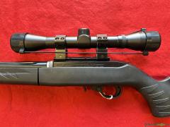 Ruger 10/22