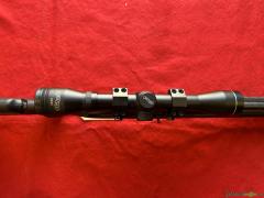 Ruger 10/22