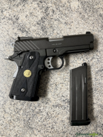 WE BABY Hi-CAPA 3.8 / CAL.6mm GBB (mit Zubehör) preis VB