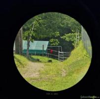 Trijicon ACOG® 6x48 BAC Riflescope - .223 / 5.56 BDC