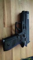 Zu verkaufen: AW Custom x SWISS Arms 229 Rail GBB - Black