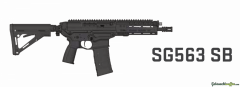 ...Andere-Nicht angegeben SG563 .223 Remington