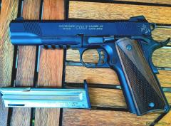 Walther | Carl Government Rail Gun .22 LR Long Rifle