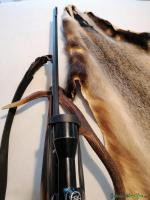 Ruger | Sturm Jagd 7 mm caliber