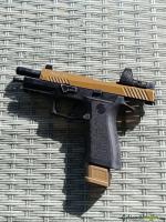 Custom VFC SIG M17