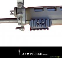 TRI RAIL SIG 550 / STGW90