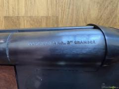Stoeger Coach Gun 12