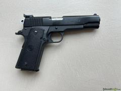 Para Ordnance M1911 .45 ACP