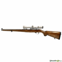 Carabine RUGER 10/22 Inox Stuzen - A6220