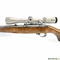 Carabine RUGER 10/22 Inox Stuzen - A6220