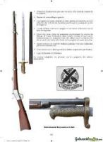 LES REMINGTON ROLLING BLOCK DANS L'ARMÉE FRANÇAISE