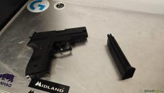 Swiss Arms P229 + 2 Magazine