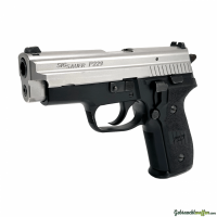 SIG-Sauer p229 .40 Smith & Wesson/Auto / 10 x 21 mm