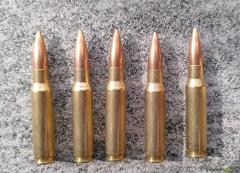 NORMA Supermatch .308 Win (100 Schuss)