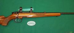 Steyr SL cal.222R
