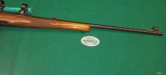 Steyr SL cal.222R