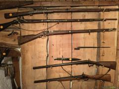 Diverse Langwaffen aus Sammlung abzugeben