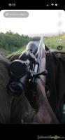 Sauer 202 .30-06 Springfield