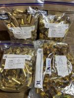 .44 Rem Mag Hülsen