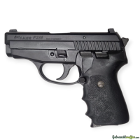 SIG P239, Kal. 9x19 ( KaPo Luzern )