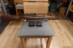 Springfield M1A .308 Winchester