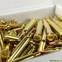 PAX Manufacturing .223 Rem 55grs FMJ: 700 Schuss!