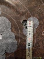 Blaser R8 Wechsellauf (Match)