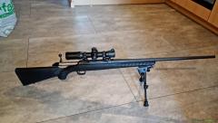 Ruger | Sturm American rifel standart .30-06 Springfield links