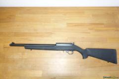 Ruger | Sturm 10/22  .22 Long Rifle