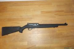 Ruger | Sturm 10/22  .22 Long Rifle