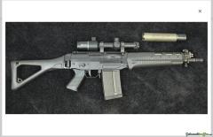 SIG Sauer 751 SAPR, 11'', Burris RT-6, .308 Win, ohne Schalldämpfer