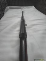 Browning Auto 5 .17 Hornady