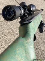 SIG Hämmerli Mod. 401 (Tactical)