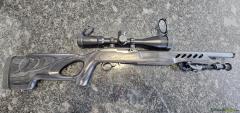 Ruger | Sturm 10/22 .22 Long Rifle