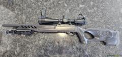 Ruger | Sturm 10/22 .22 Long Rifle