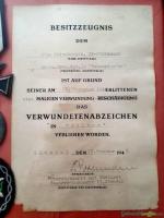 Original Urkunde SS + Abzeichen aus Wk2